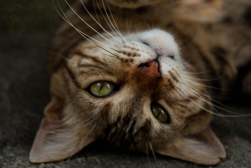 Prayer & Worship Night Lagos