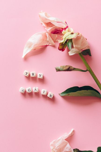 Delicate wilted flower on pink background with 'try again' cubes symbolizing resilience.