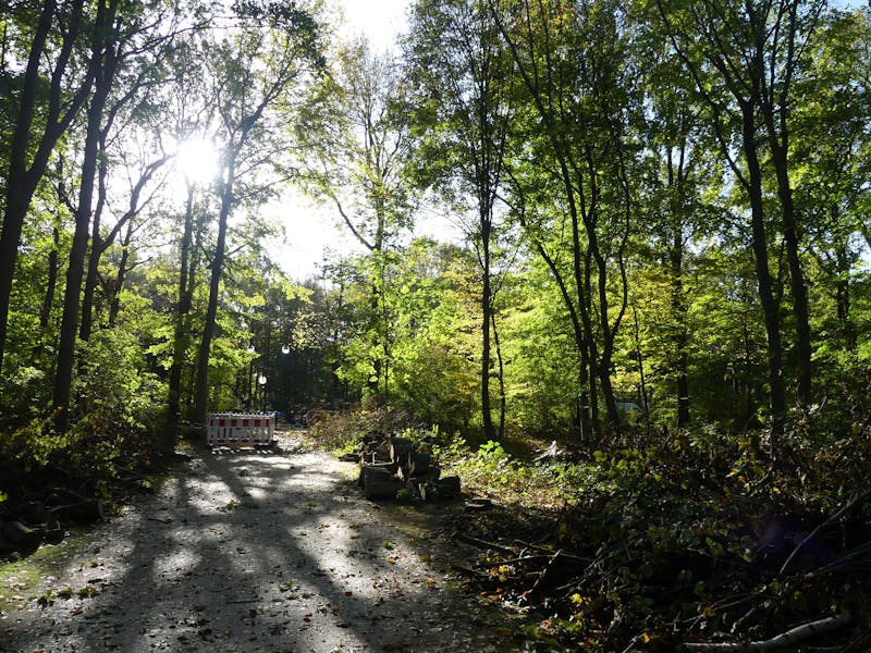 Diverse group of people in a welcoming faith community