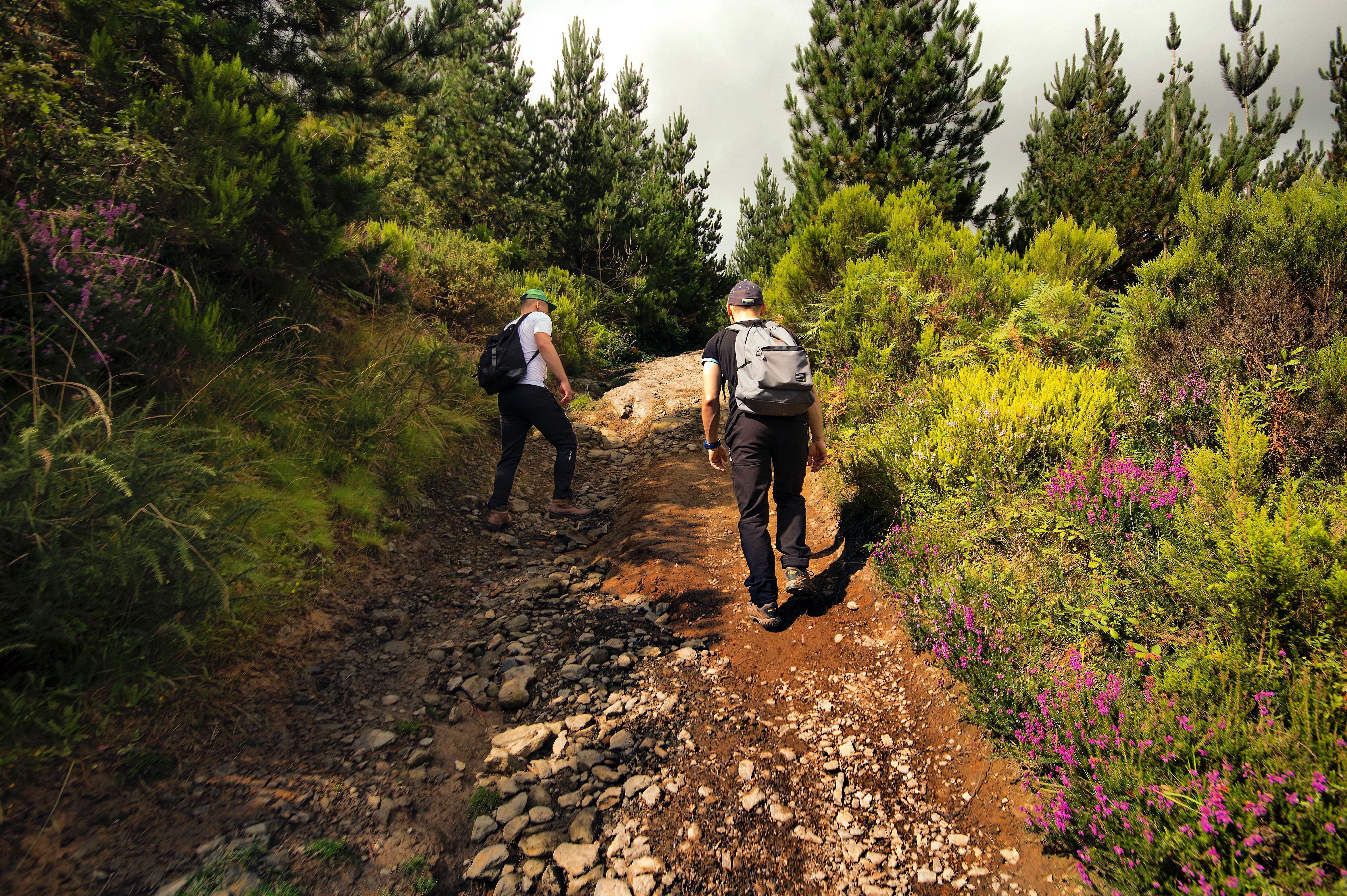 Monte Argalario Viewpoint