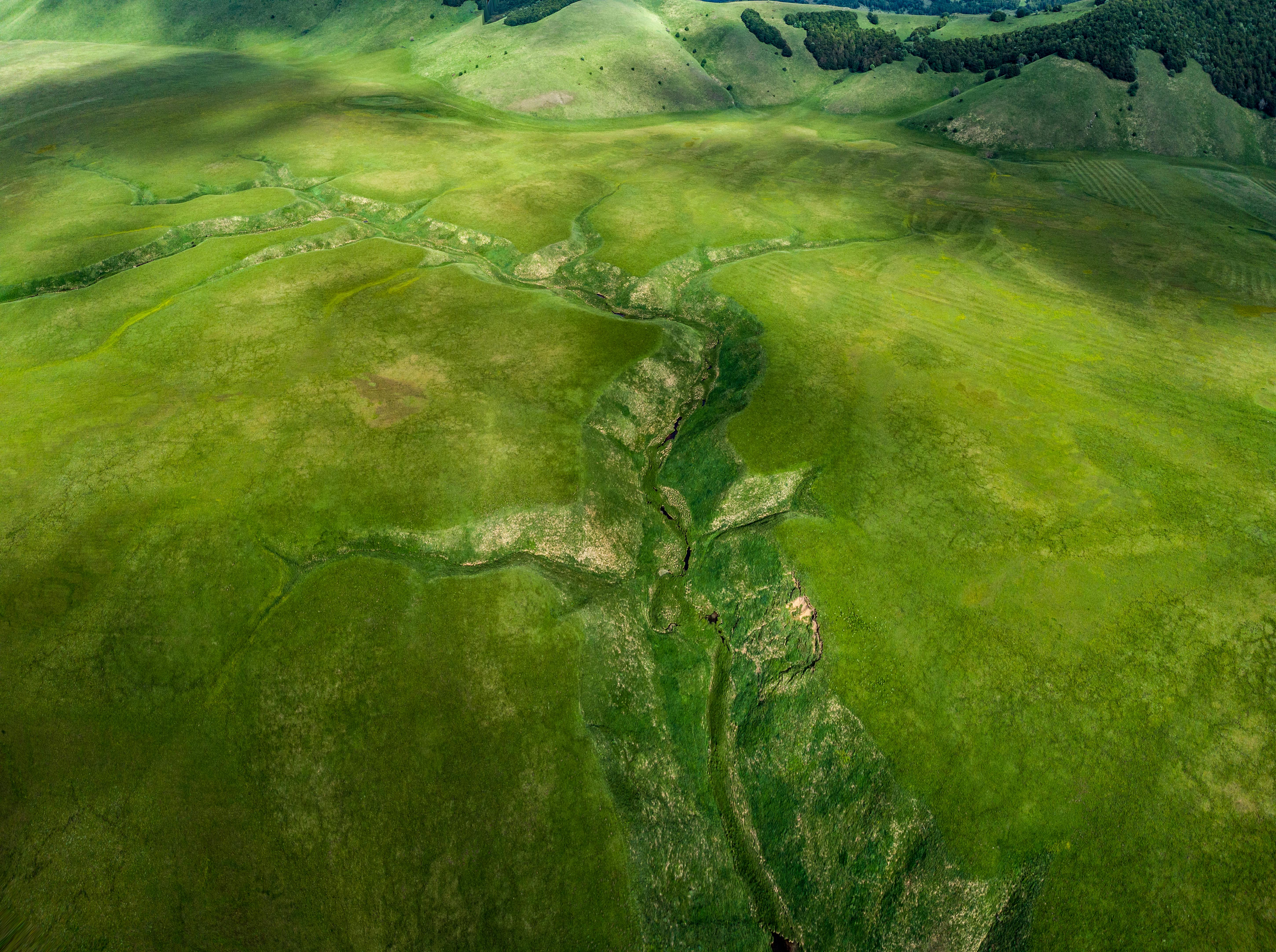 Captivating aerial view of expansive green landscape with valleys and hills.