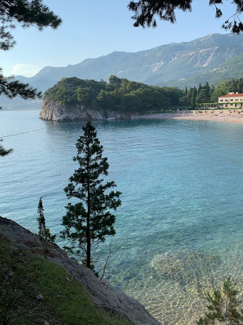 Green Trees on Mountain Near Body of Water