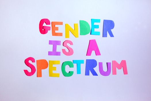 Vibrant cut-out letters spelling 'Gender is a Spectrum' on white background.