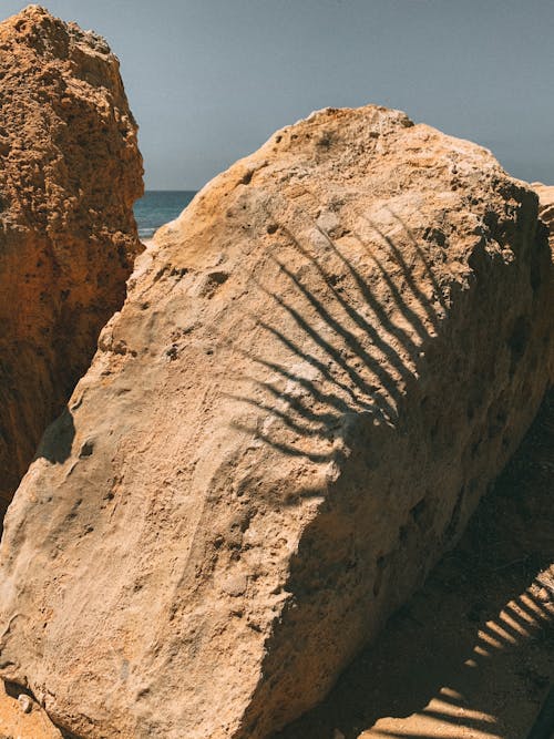 Palm Leaf Shadow on the Rock on the Beach