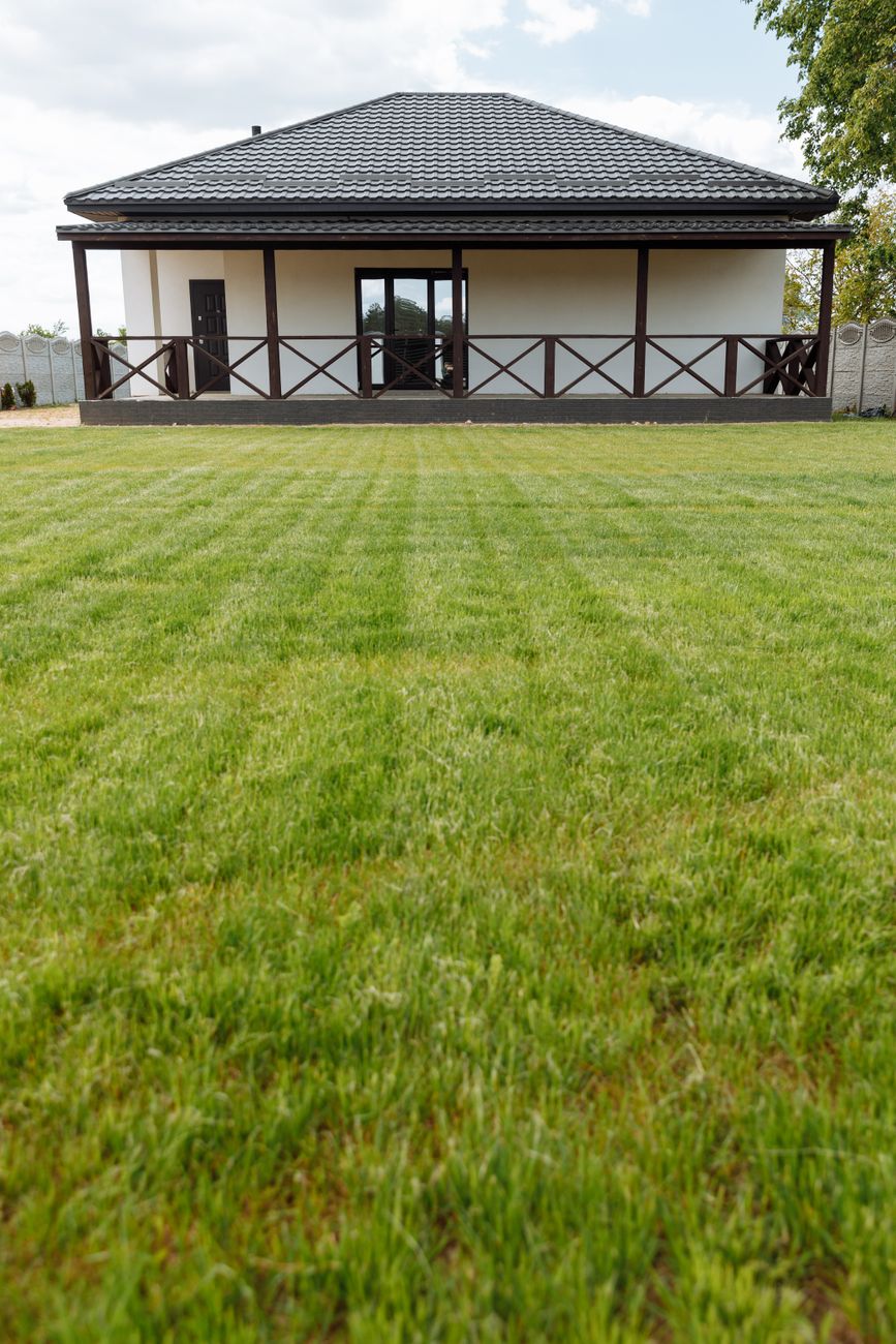 Real lawn care transformation context at a Yuba City property