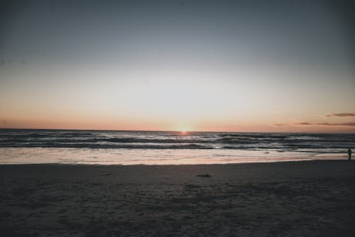 ビーチ, 地平線, 夕暮れの無料の写真素材