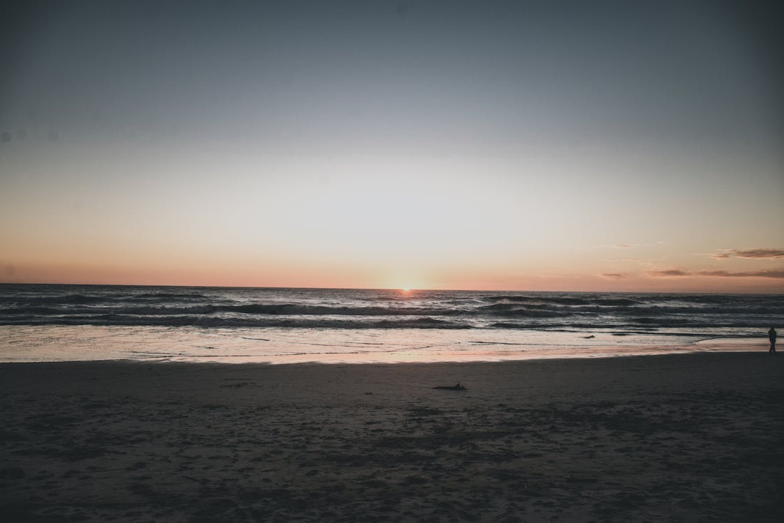 새벽, 수평선, 일몰의 무료 스톡 사진