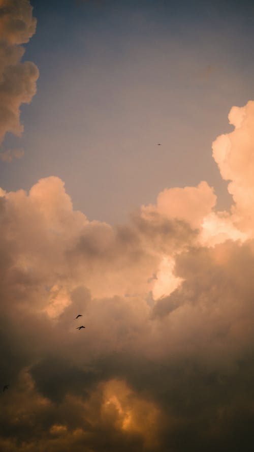 Gratis stockfoto met bewolkt, hemel, natuur Stockfoto