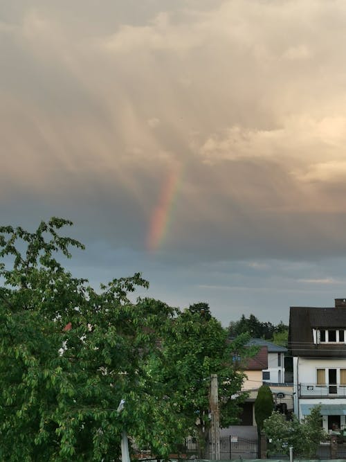 Základová fotografie zdarma na téma barvy duhy, duha, duhová tapeta