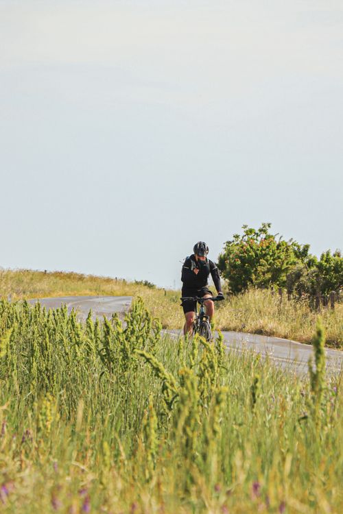 Free A lone cyclist biking along a peaceful countryside road surrounded by tall grass. Stock Photo