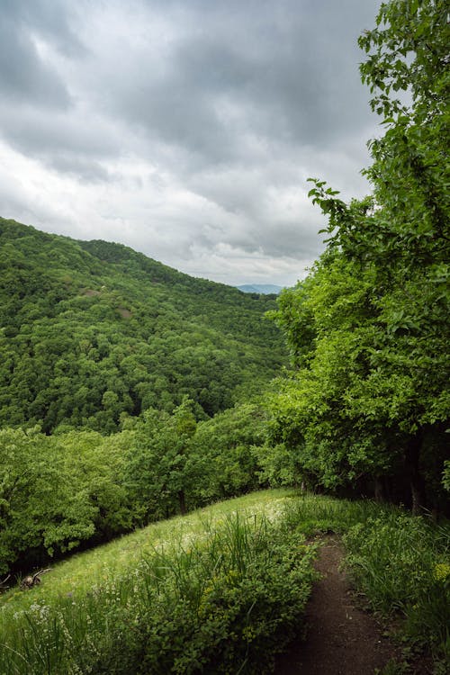 Free A Verdant Mountainside under a Cloudy Sky Stock Photo