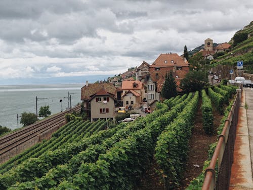 Free Houses with Plantations on Hills near Water Stock Photo