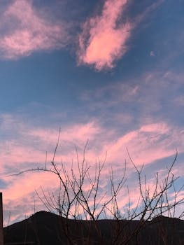 Beautiful sunset with pink clouds and silhouetted branches against a blue sky.