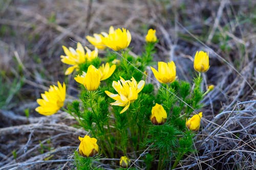 教師と生徒の交流風景
