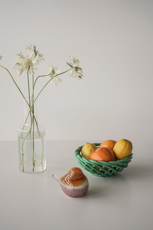 Foto profissional grátis de bacia, facilidade, flores brancas