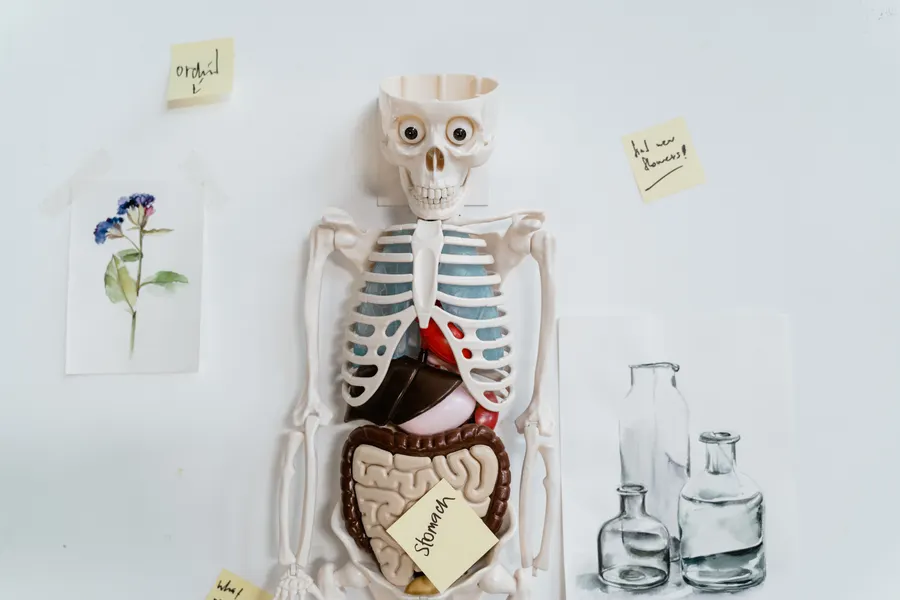 Medical