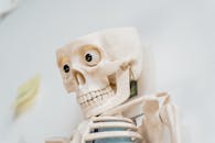 Close-Up Photo of a Skeleton Plastic Toy