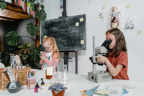 Students Doing a Science Experiment Inside the Laboratory