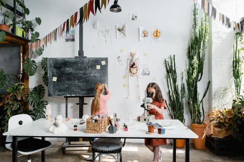 Free Two young girls explore science with a microscope and skeleton model in a classroom filled with plants. Stock Photo