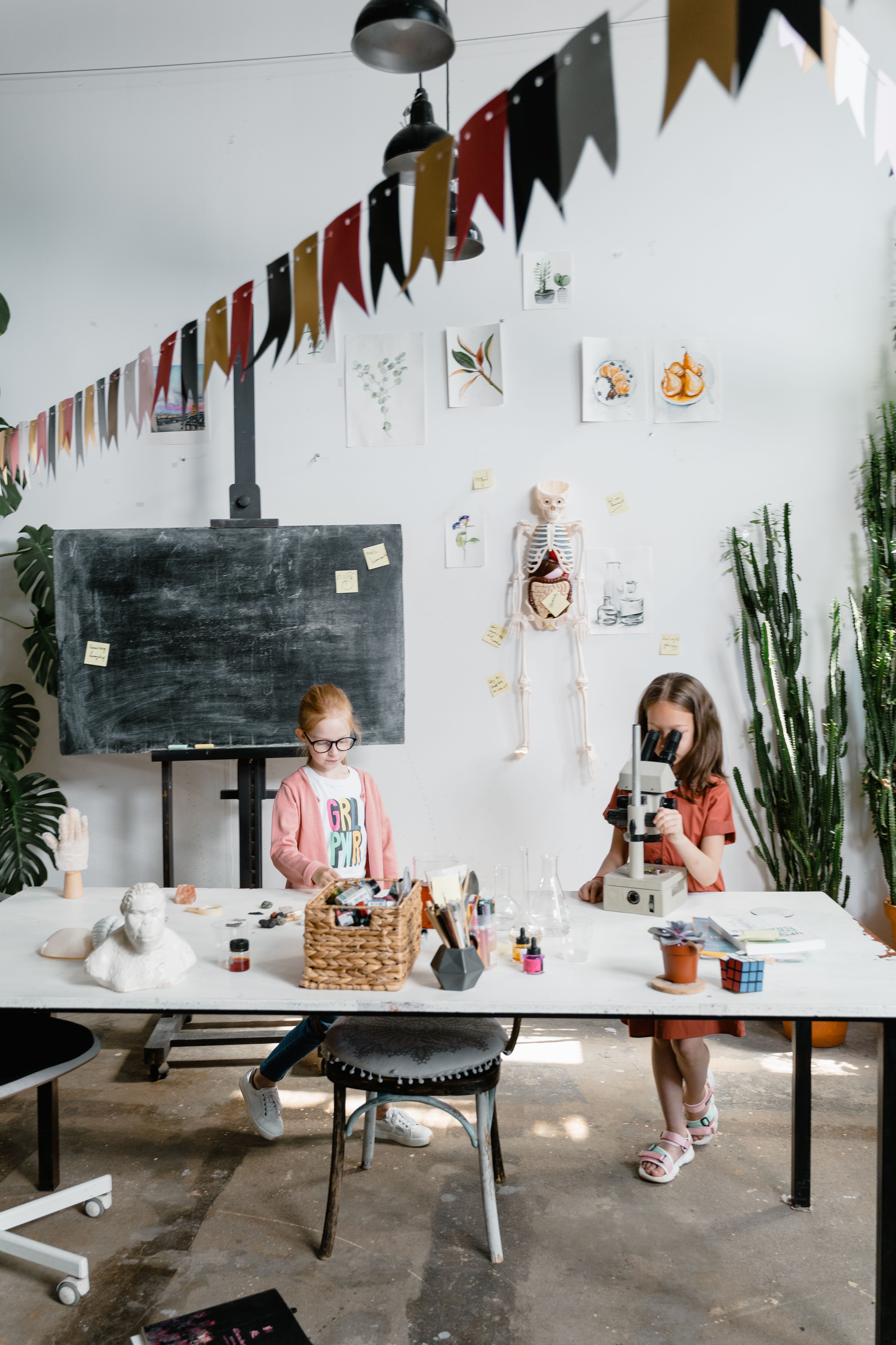Girls in a Science Laboratory · Free Stock Photo