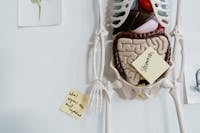 Happy senior using smartphone