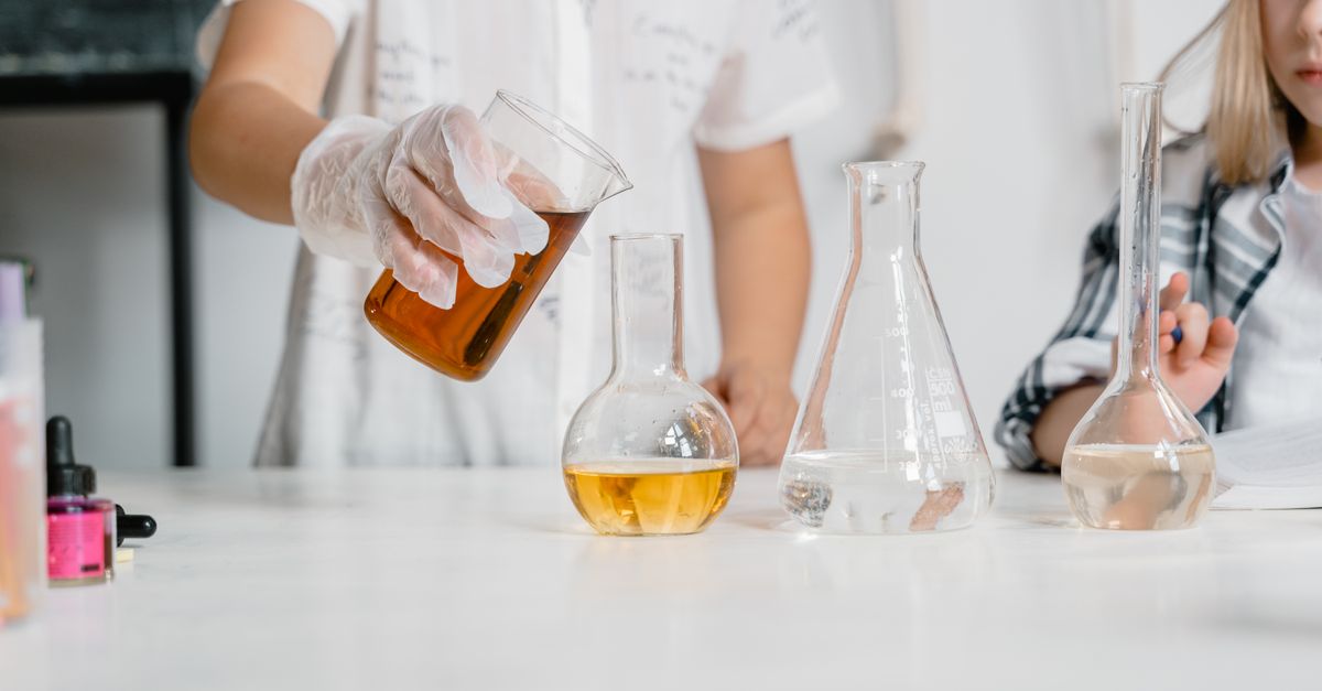 Where Garland Families Are Learning Something New This Summer — Inside the Library's Hands-On Programs