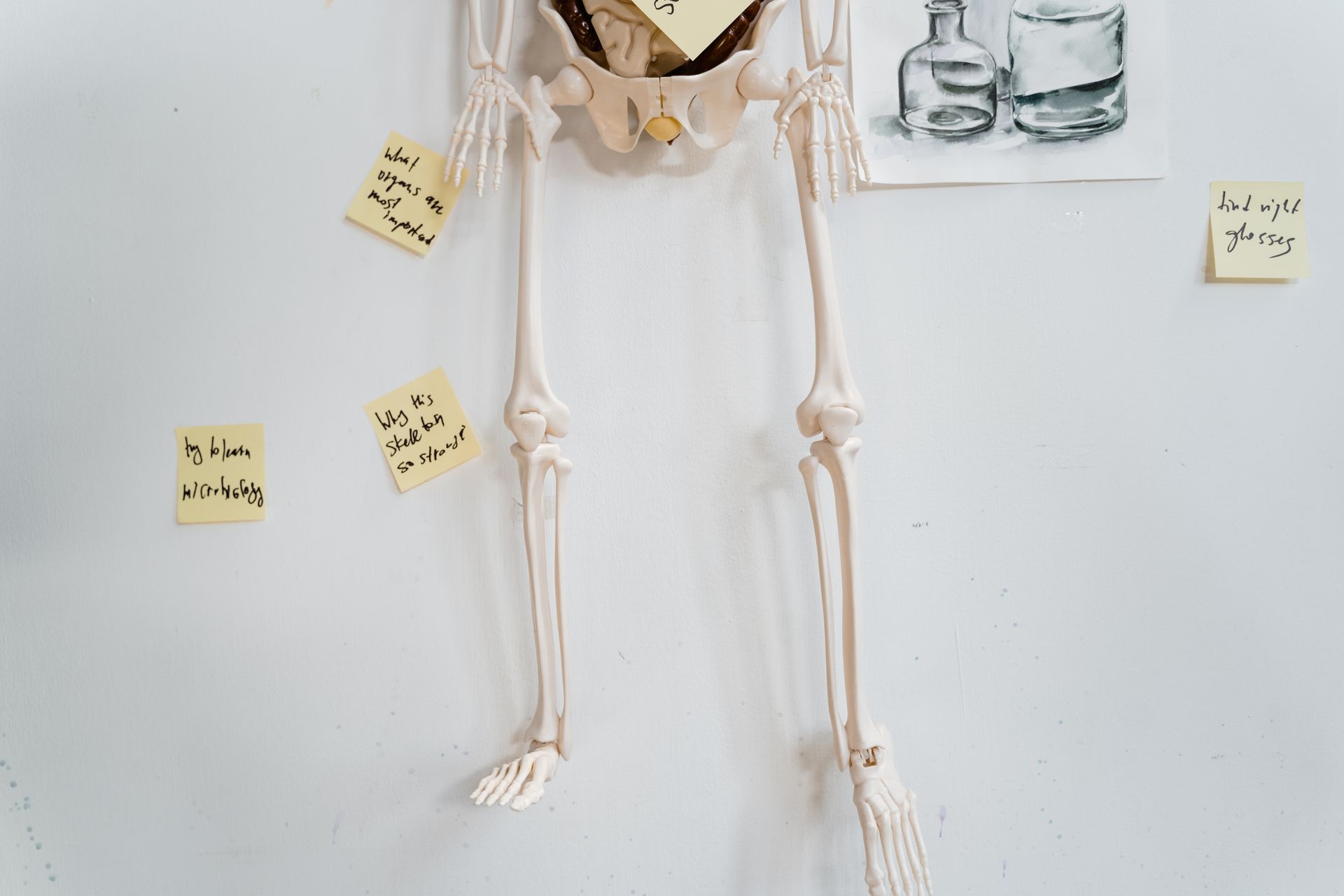 Post-It on the Wall with Hanging Skeleton