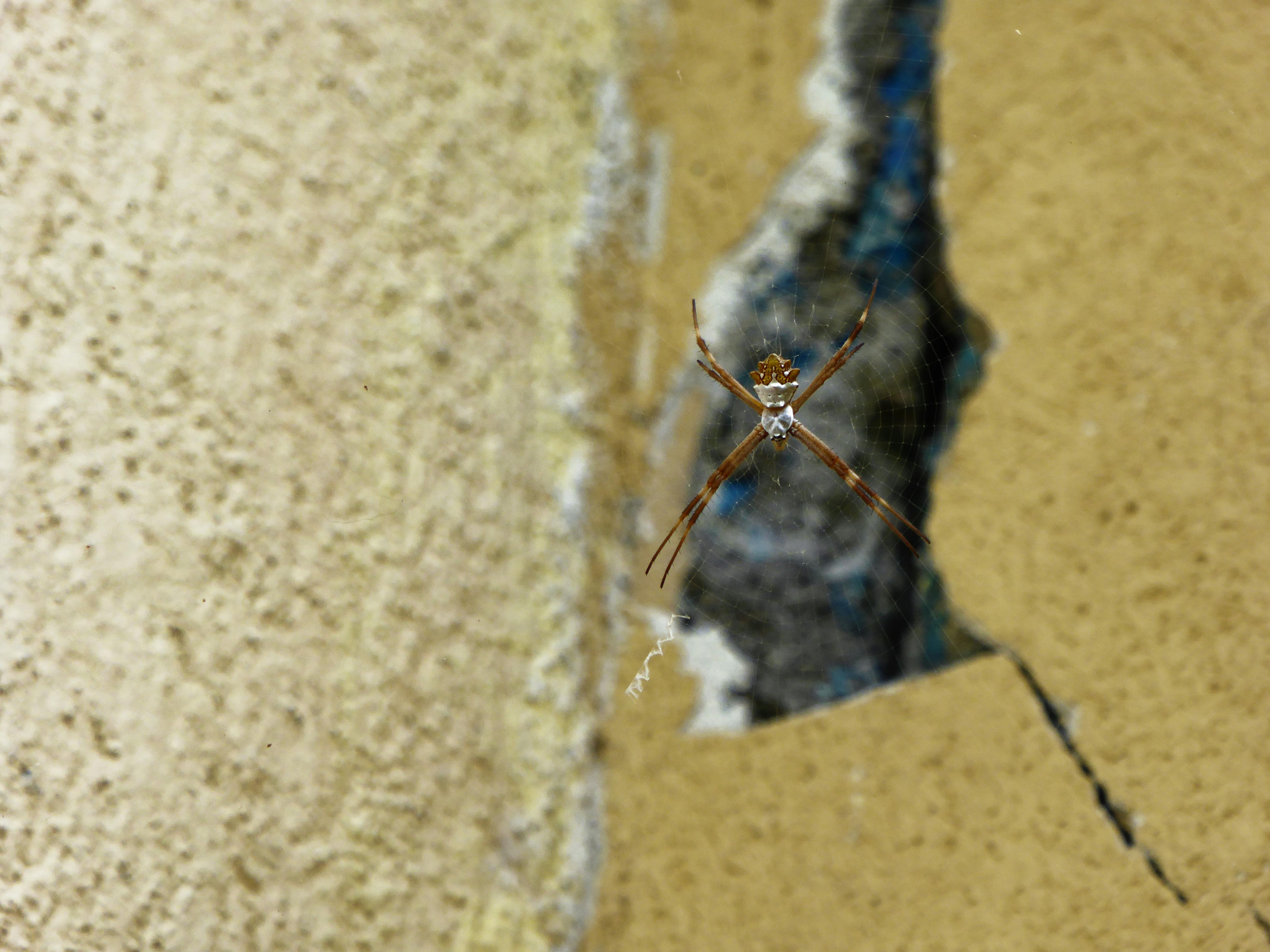 Nurse preparing a vaccine in a syringe in a clinical setting
