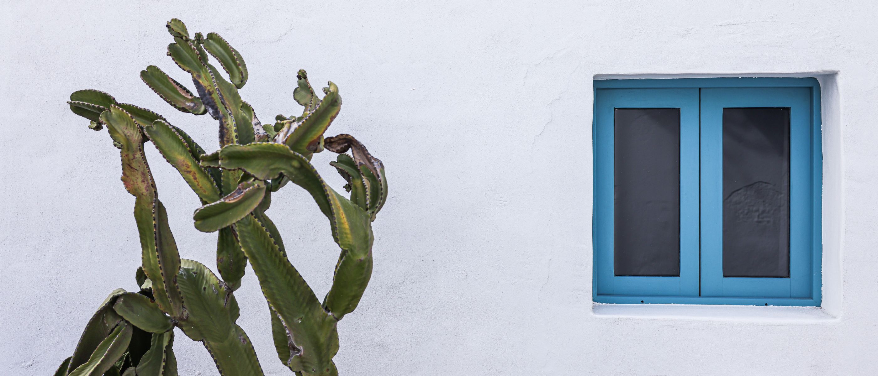 Exterior Painting in Barnes Cray — walls rolled to an even, flat finish