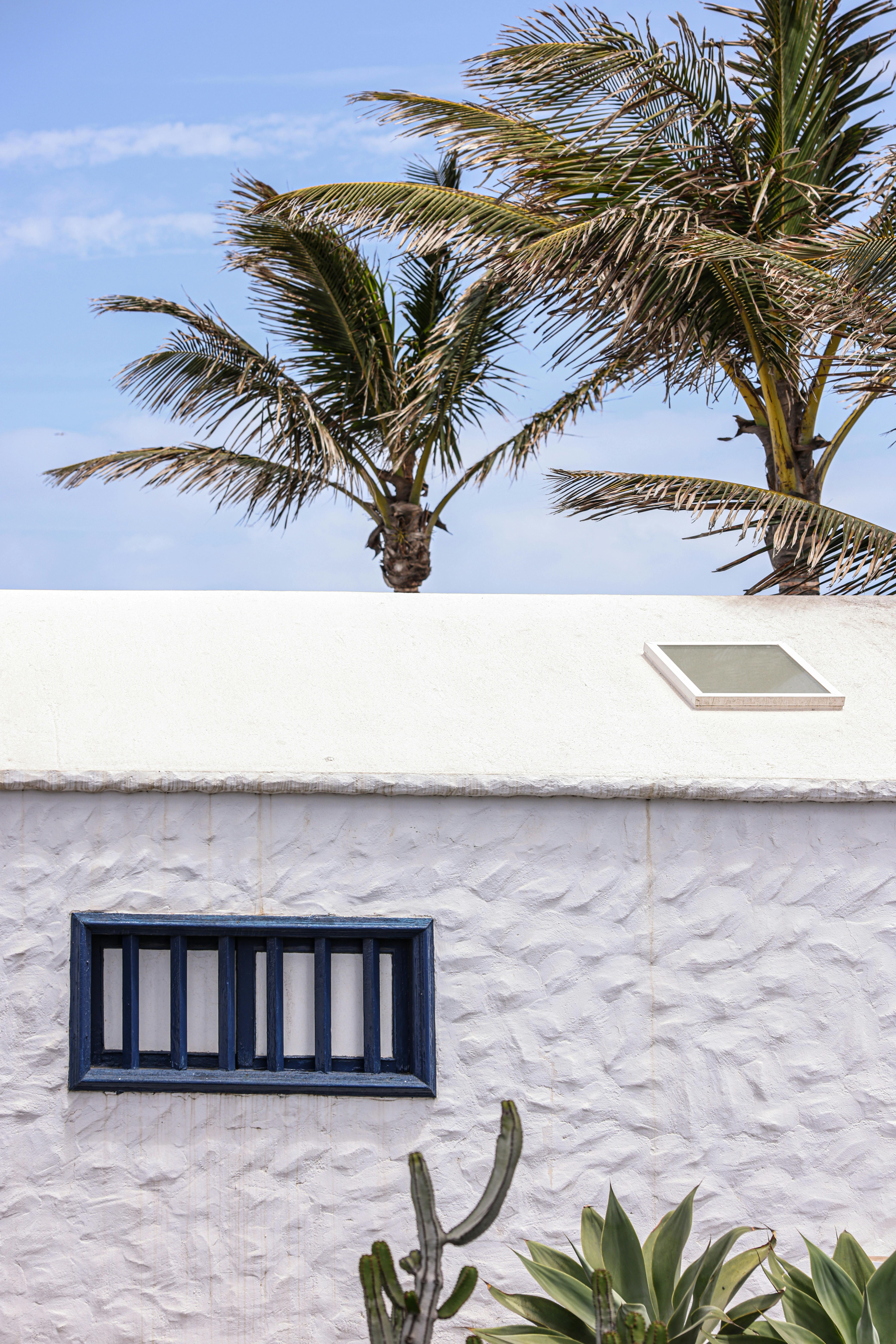 What do you line a shed with?