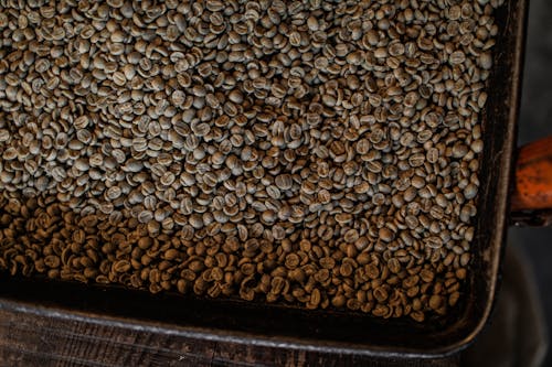 Free A Pile of Roasted Coffee Beans Stock Photo