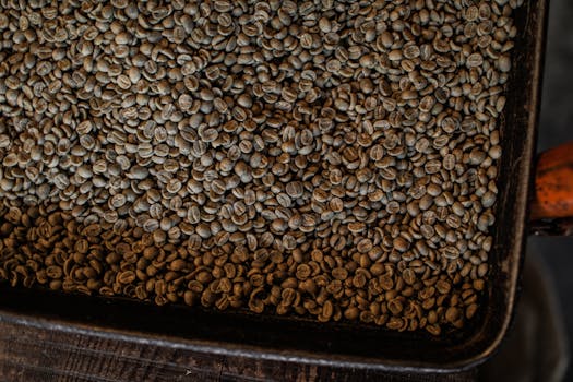 A large pile of unroasted coffee beans in a tray, perfect for coffee-related content.