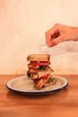 Person Holding Burger on White Ceramic Plate