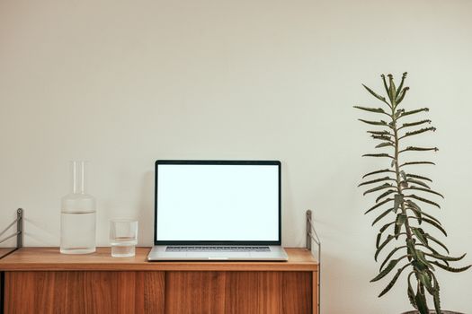A sleek workspace setup featuring a laptop on a wooden cabinet with decorative elements and a houseplant.
