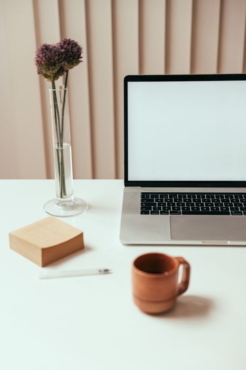 Free A modern workspace with a blank laptop screen, coffee mug, and decorative plant in a minimalist setting. Stock Photo