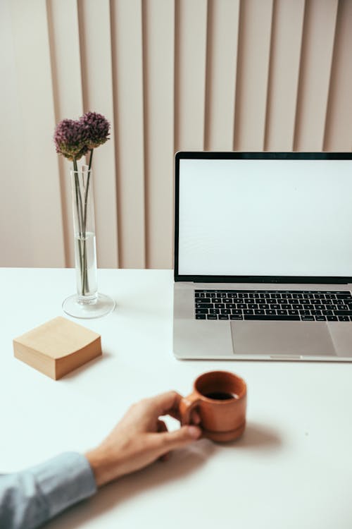 Gratis lagerfoto af arbejdsområde, bærbar computer, blomstervase