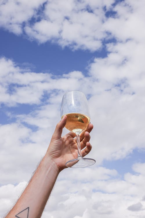 Low Angle Shot of a Person Holding a Glass of Wine