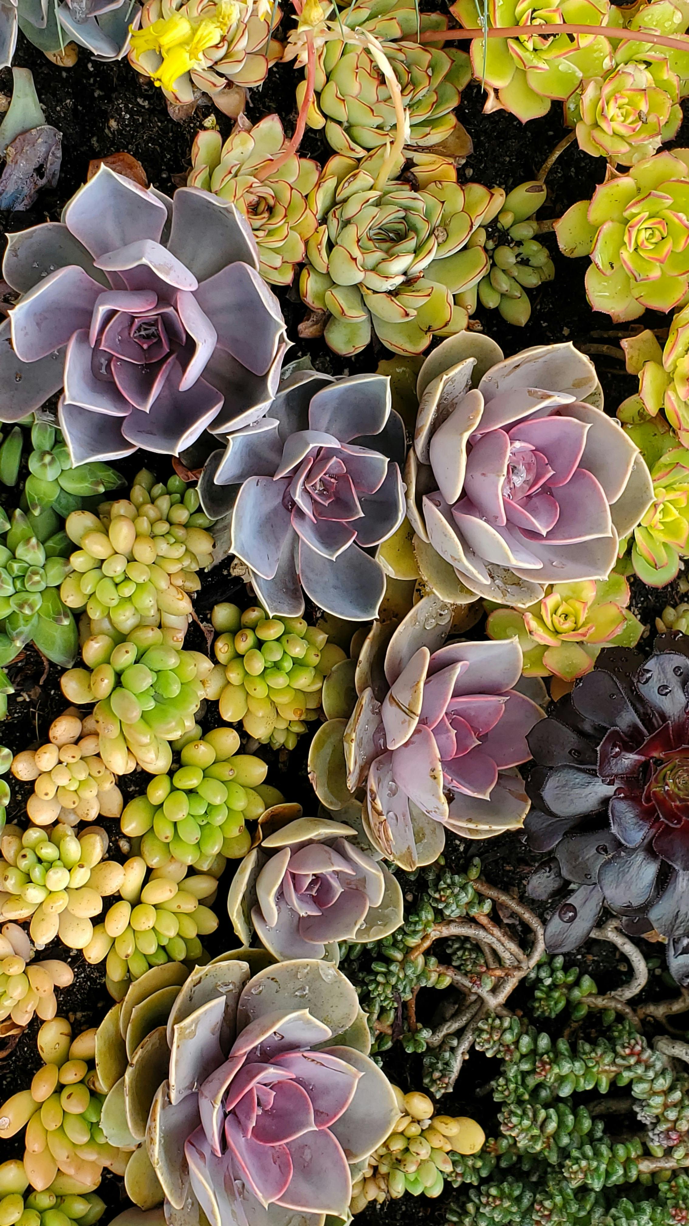 고가 아파트 이미지