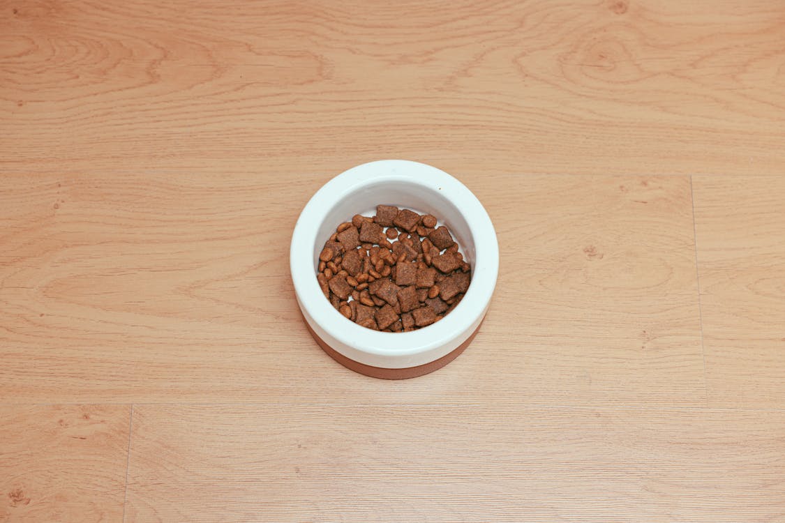 Budget-Friendly Dog Food Options That Don't Compromise On Quality 6 Free Dog Food in a Pet Bowl on a Wooden Surface Stock Photo