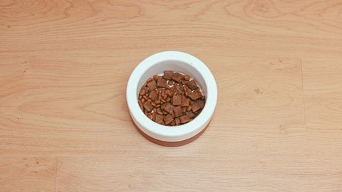 Dog Food Protein: How to Compare Labels, Dry Matter, and Calories