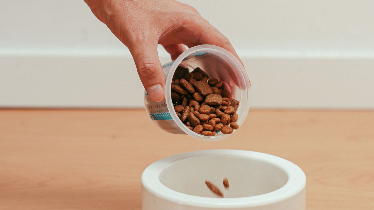 Alimentation et santé animale - illustration