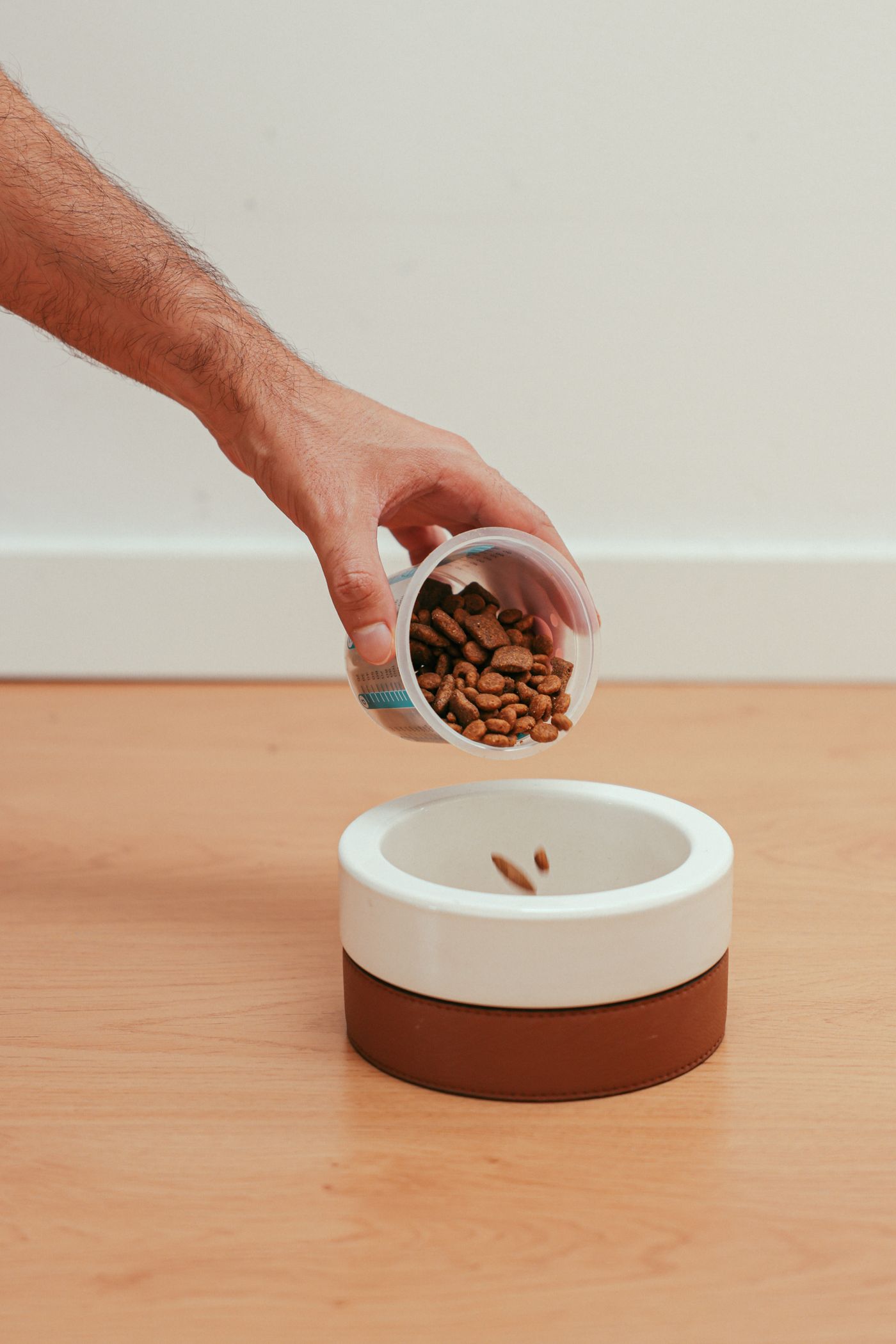 Hand pouring dry dog food into a modern pet bowl