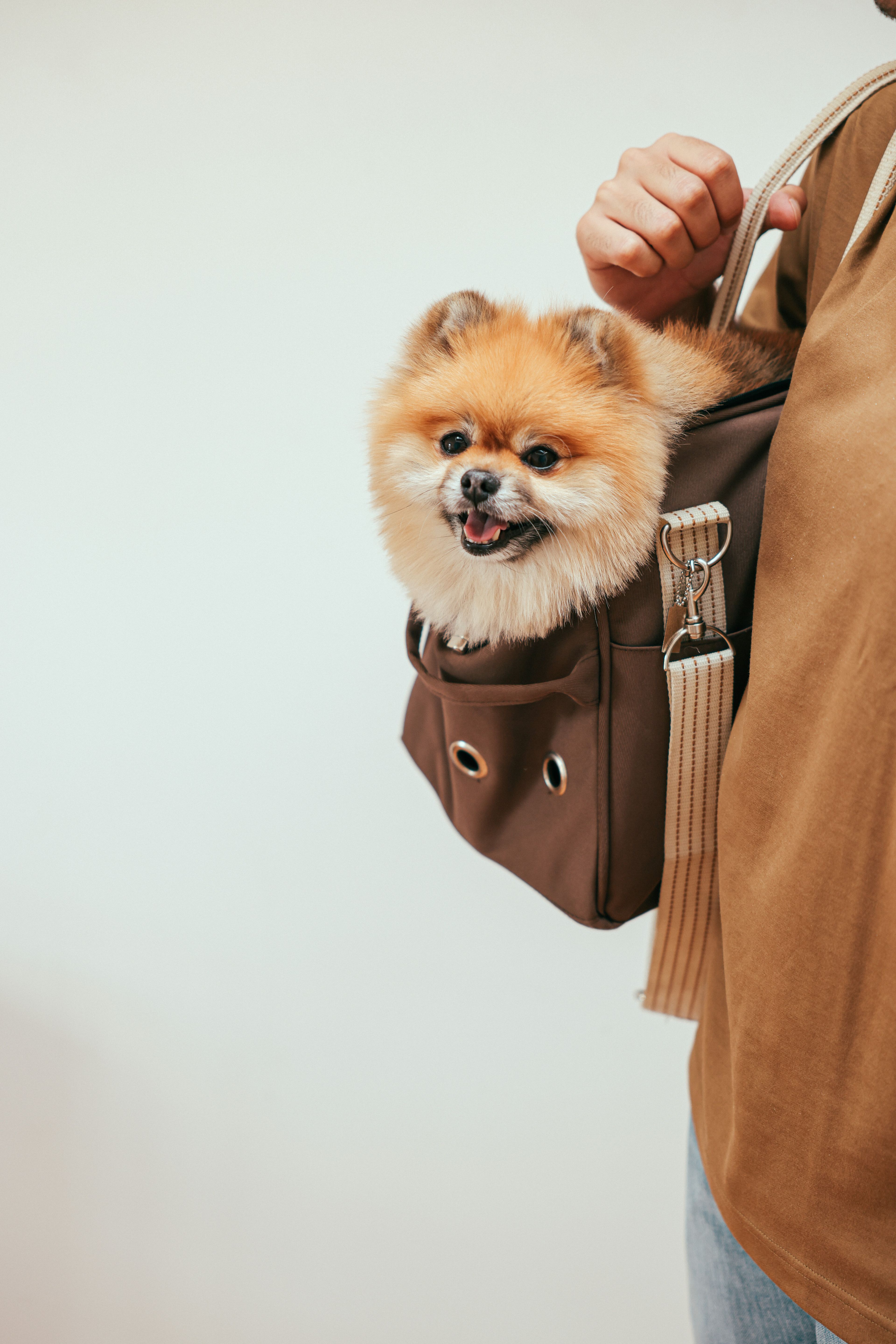 Leash Hook Wall Mount