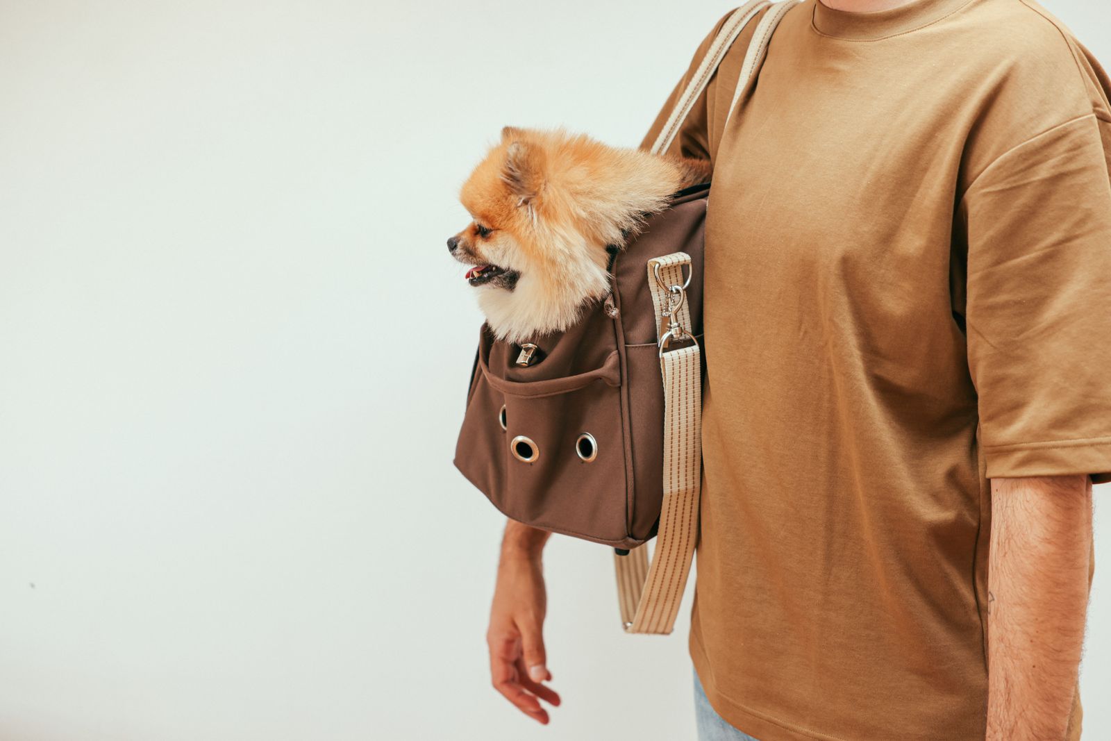 Small dog carried hands-free in a front-carry sling-style pet carrier