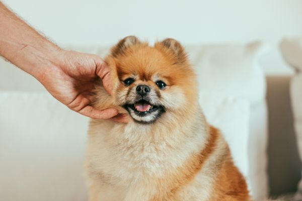 健康診断