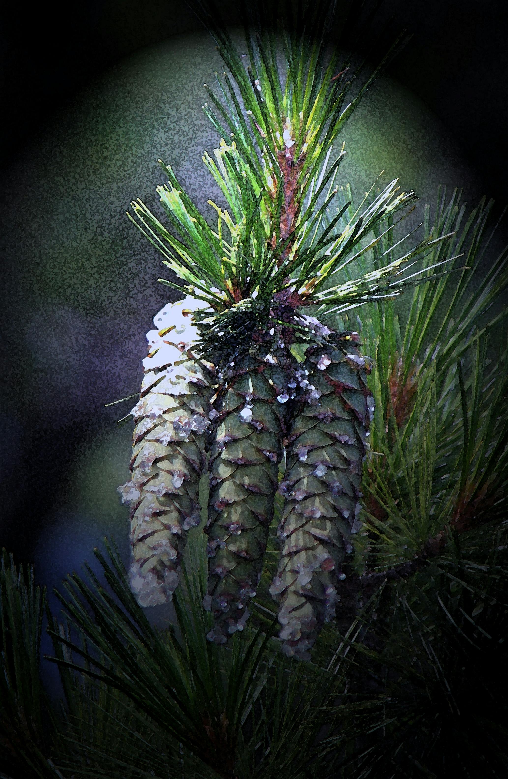 Evde Kettlebell ile Tüm Vücut Antrenmanı: Güç ve Kondisyonunuzu Artırın