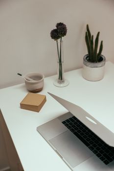 Elegant minimalist workspace setup with laptop, plants, and desk accessories.