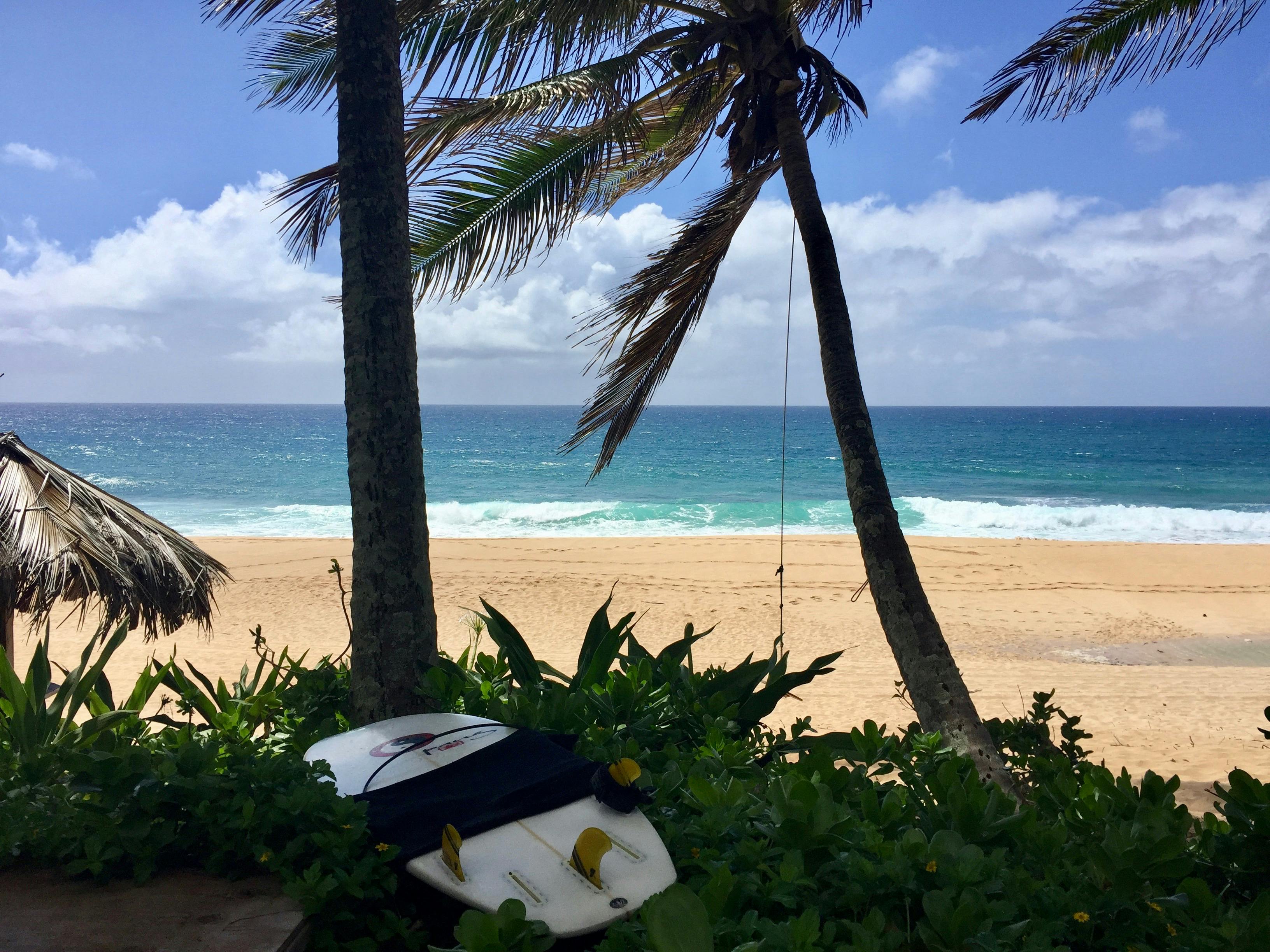 Free stock photo of beach, beach life, beautiful