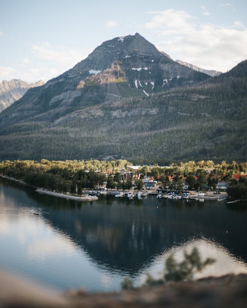 Photos gratuites de arbres, des villages, fond d'écran mobile