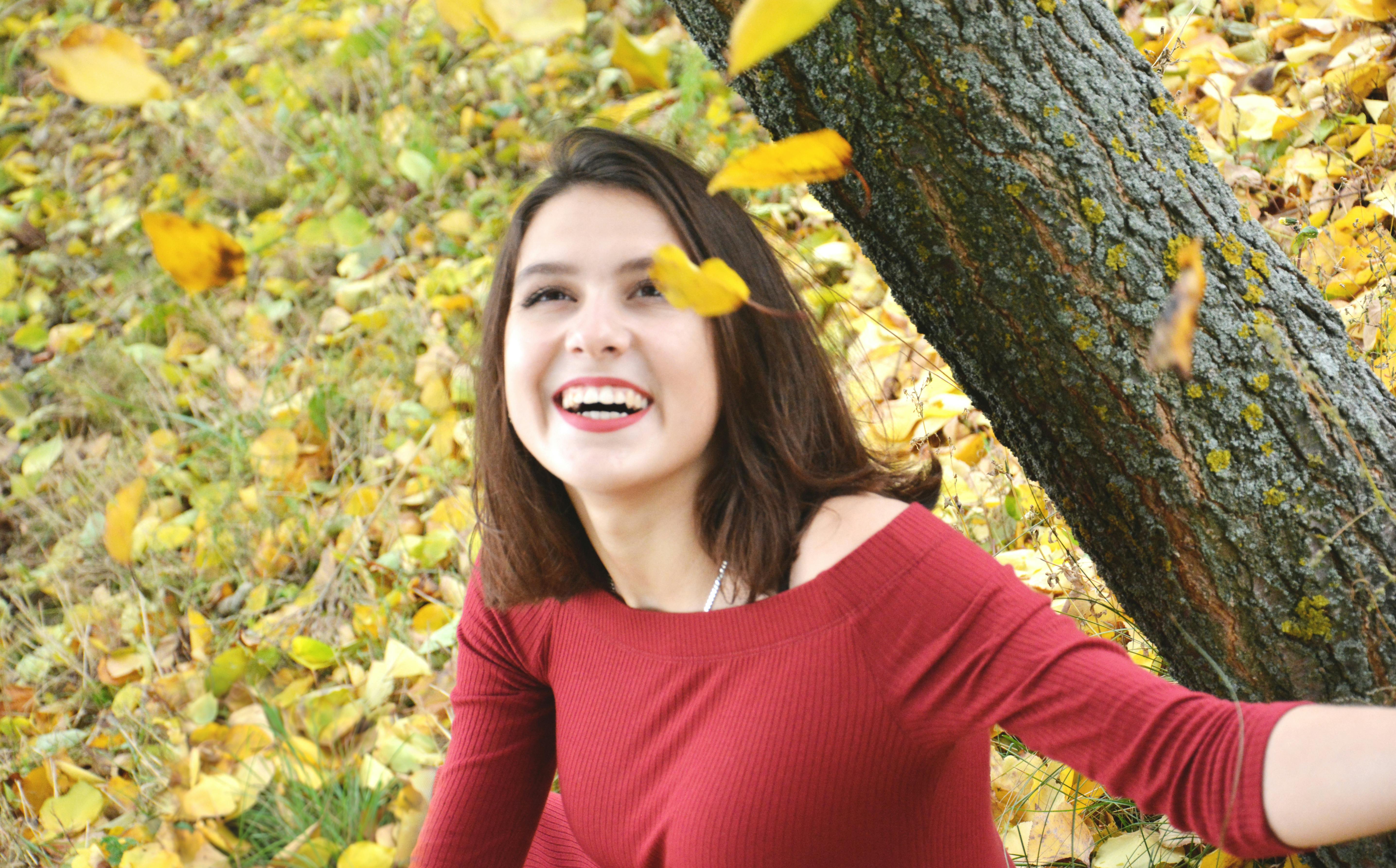 Free stock photo of falling leaves